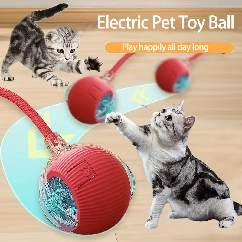 Rechargeable Electric Rolling  Ball For Pets With Lights