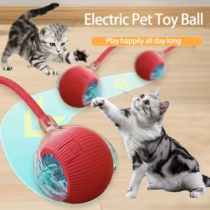 Rechargeable Electric Rolling  Ball For Pets With Lights