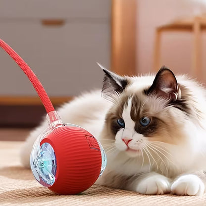 Rechargeable Electric Rolling  Ball For Pets With Lights