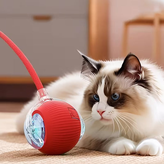 Rechargeable Electric Rolling  Ball For Pets With Lights