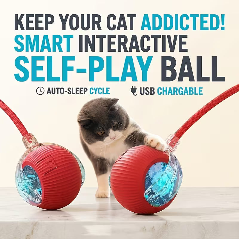 Rechargeable Electric Rolling  Ball For Pets With Lights