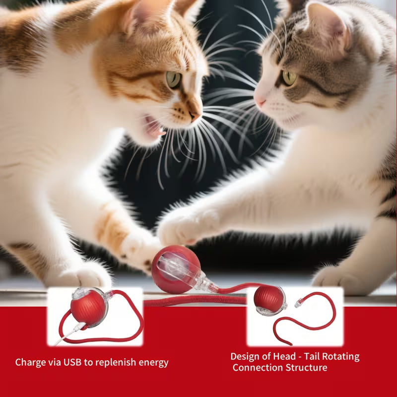 Rechargeable Electric Rolling  Ball For Pets With Lights