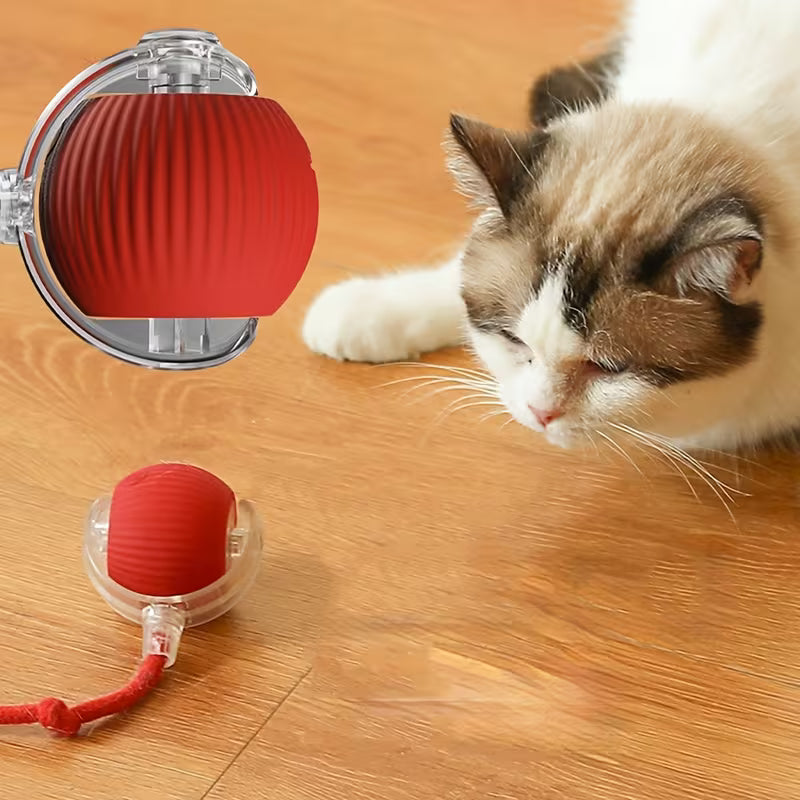 Rechargeable Electric Rolling  Ball For Pets With Lights