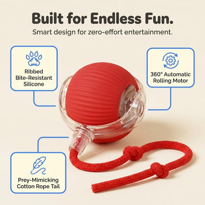 Rechargeable Electric Rolling  Ball For Pets With Lights