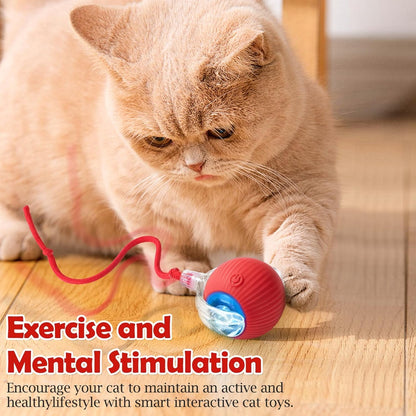Rechargeable Electric Rolling  Ball For Pets With Lights