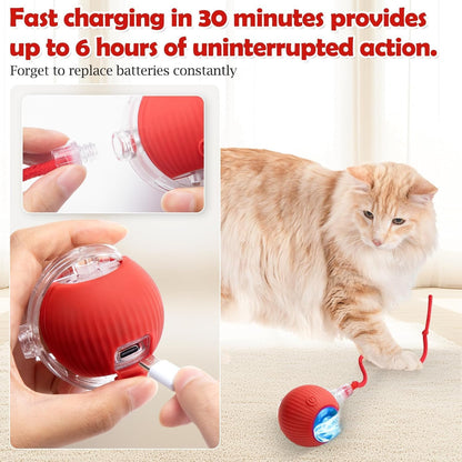 Rechargeable Electric Rolling  Ball For Pets With Lights