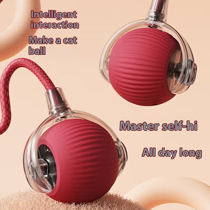 Rechargeable Electric Rolling  Ball For Pets With Lights