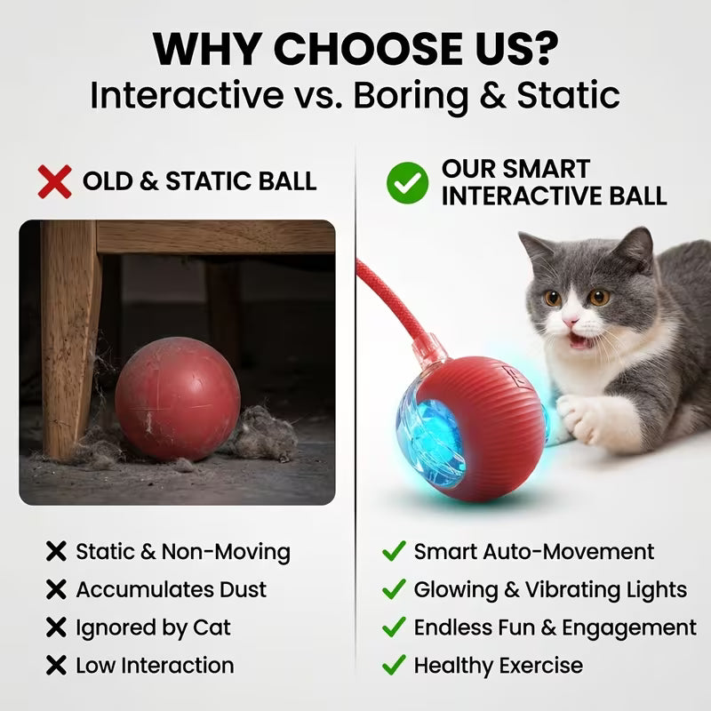 Rechargeable Electric Rolling  Ball For Pets With Lights