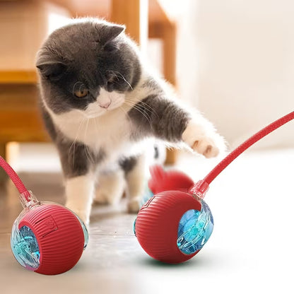 Rechargeable Electric Rolling  Ball For Pets With Lights